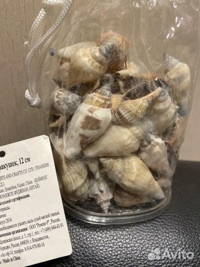 Ракушки для аквариума и подделок