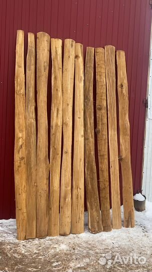 Горбыль липа