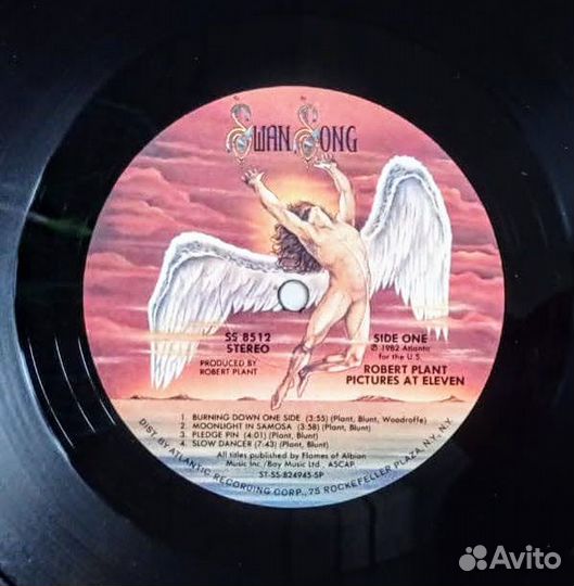 Robert Plant (Led Zeppelin)