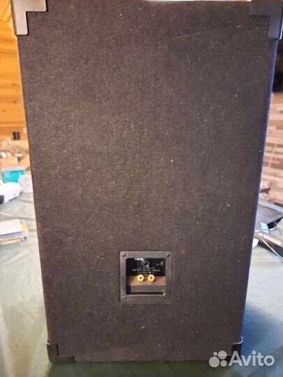 Концертные колонки акустика Magnat Pro PA 112 hifi