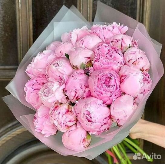 Пионы Букеты Цветы Доставка