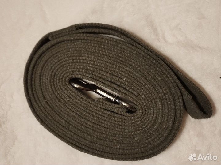 Потяг для каникросса (бега с собакой)