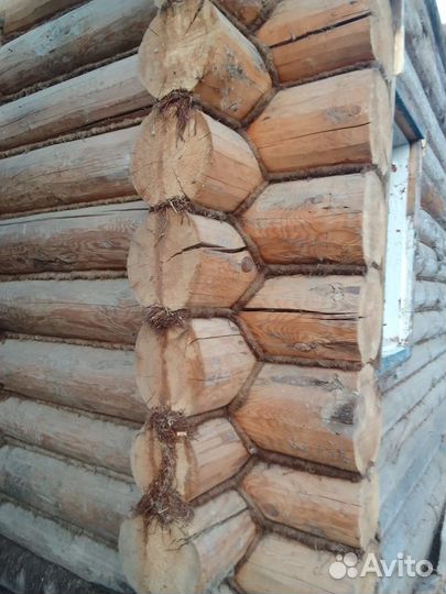 Сруб для бани дома 6х6