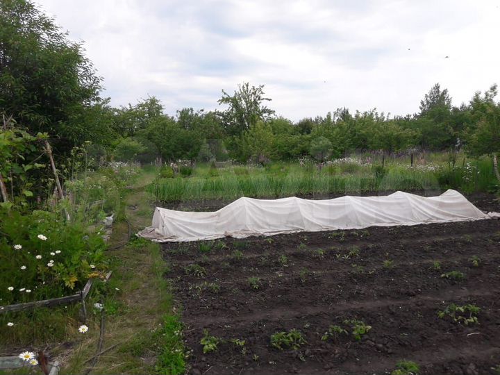 Дача 14 м² на участке 12,5 сот.