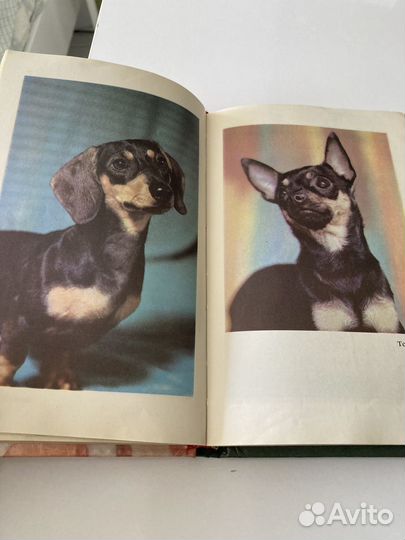 Книга про собак