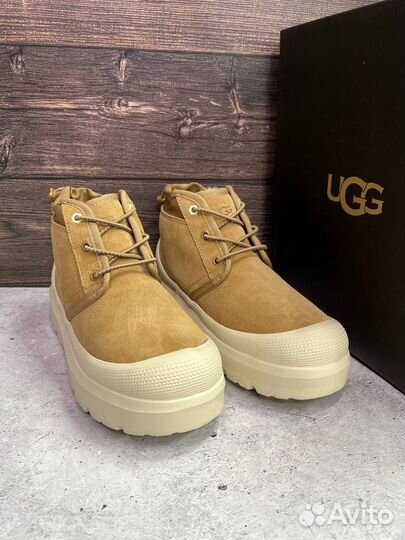 Угги мужские Ugg