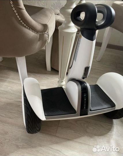 Segway ninebot S-plus