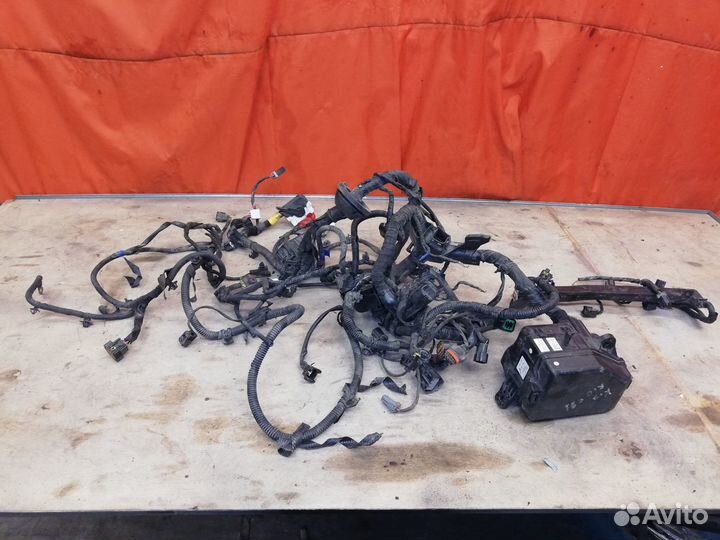 Проводка с блоком Kia RIO III