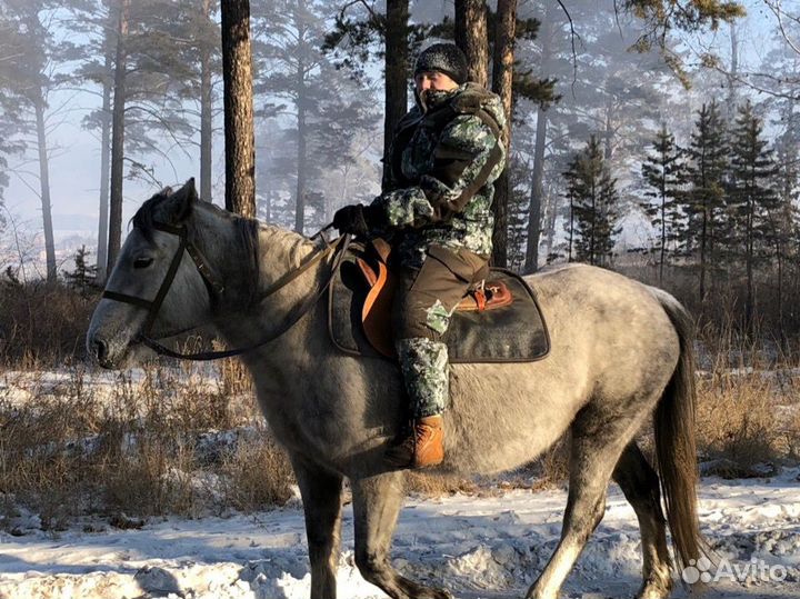 Прогулки на лошадях (остров за ингодой)