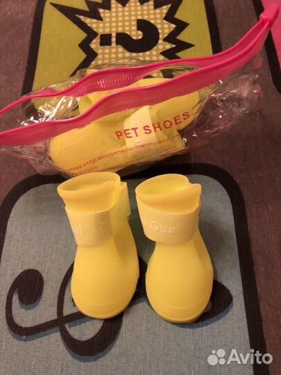 Одежда для собак