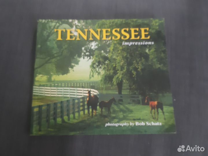 Альбомтенеси