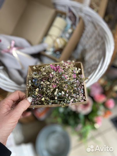 Гипсофилы сухоцвет