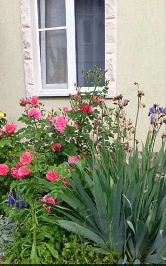 2-к. квартира, 37 м², 1/2 эт.