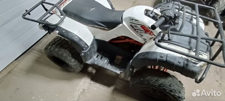Квадроцикл Kayo Bull 150 (bull - 2b)