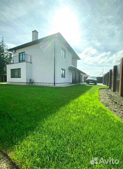 Рулонный газон из питомника