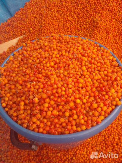 Облепиха замороженная