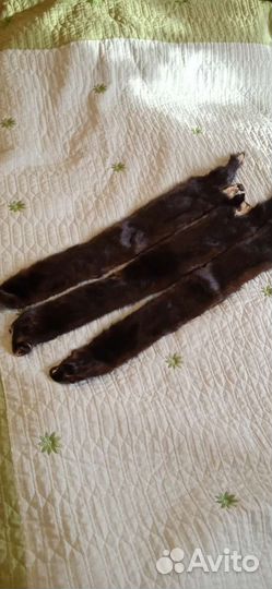 Шкурка животного