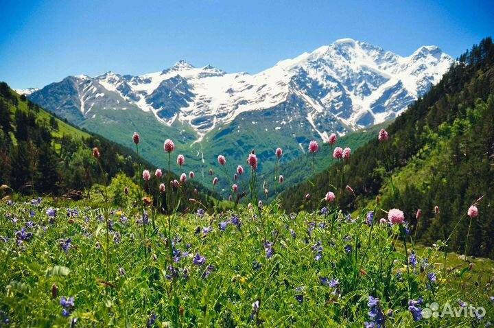 15сен24 тур Сокровища Северного Кавказа рэ3014