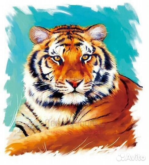 Алмазная мозаика 21x25 Красивый молодой тигр