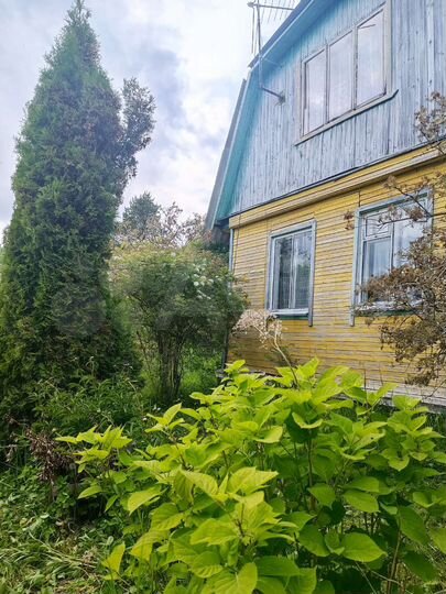 Дом 50 м² на участке 10,6 сот.