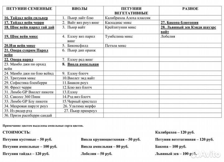 Петуния рассада виола, бакопа, львиный зев