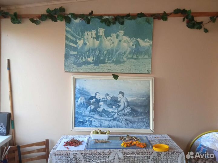 Картина из фото78/50