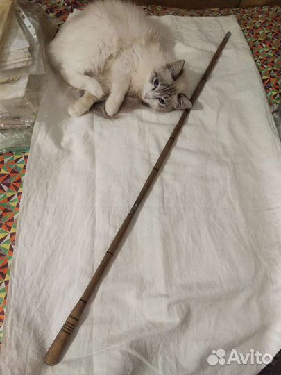 Снасти рыболовные