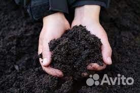 Навоз без посредников