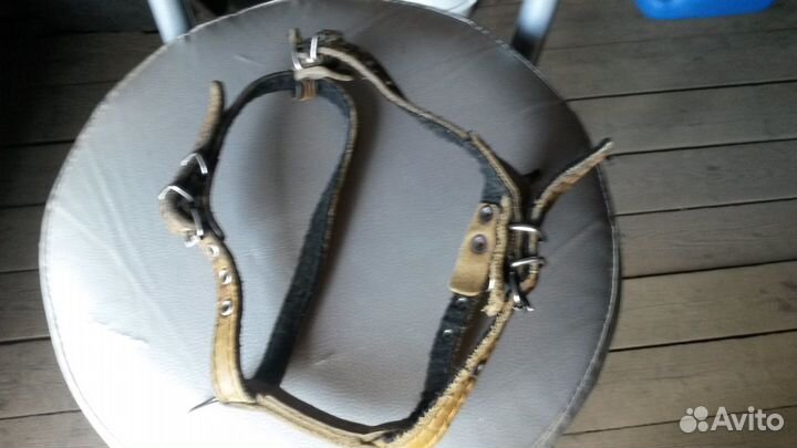 Шлейка для собаки