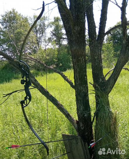 Лук +12 стрел авито доставка