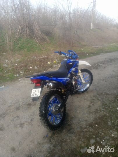 Roliz sport 005