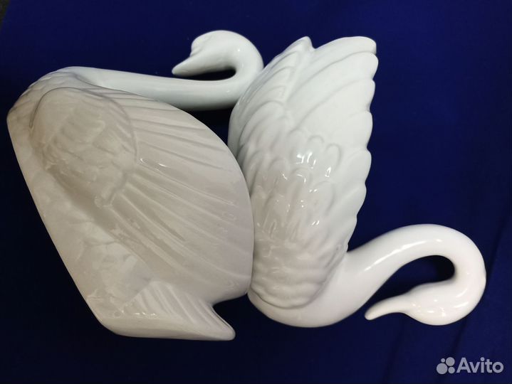 Белый лебедь