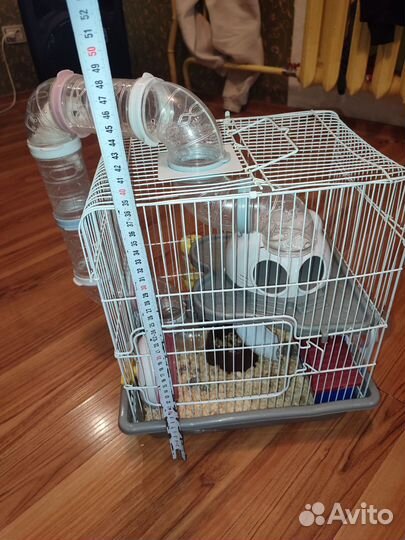 Клетка с хомяком