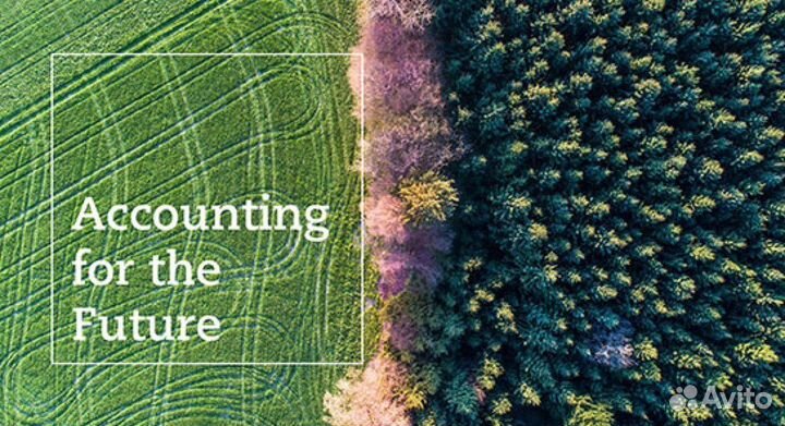 Юрист IP IT Маркетплейсы Франчайзинг