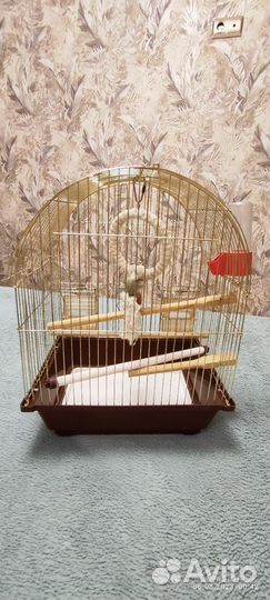 Клетка для попугая