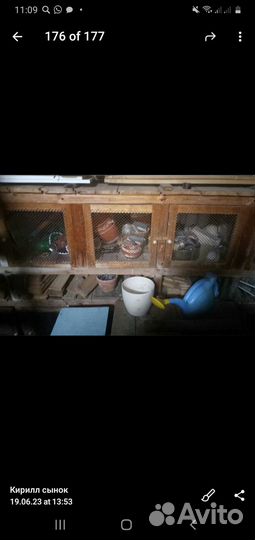 Клетки для кроликов