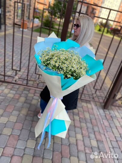 Ромашки. Танацетум. Доставка