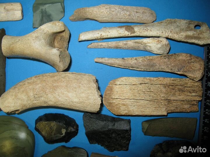 Каменные и костяные предметы. Палеолит №35