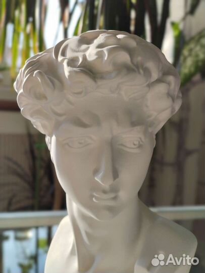 Гипсовая фигура Академическая бюст Давида новый
