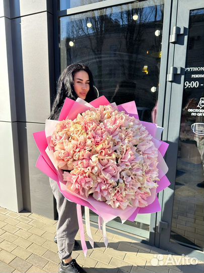 Роза крупная