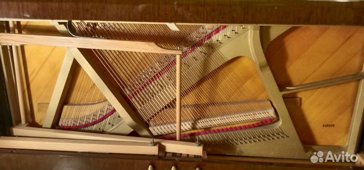 Пианино Petrof Sonatina