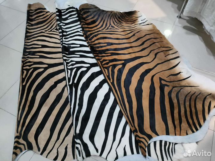 Шкура зебры