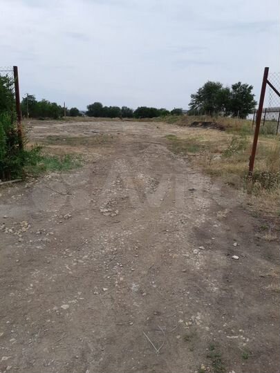 Участок 65 сот. (СНТ, ДНП)