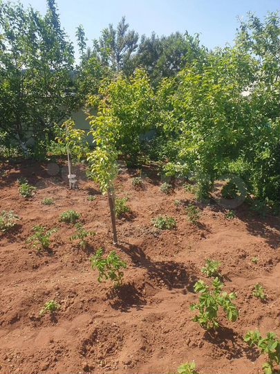 Дом 80 м² на участке 10 сот.