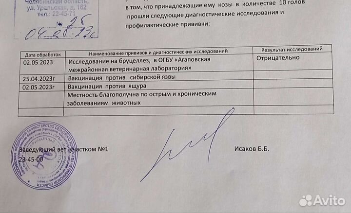 Козье молоко