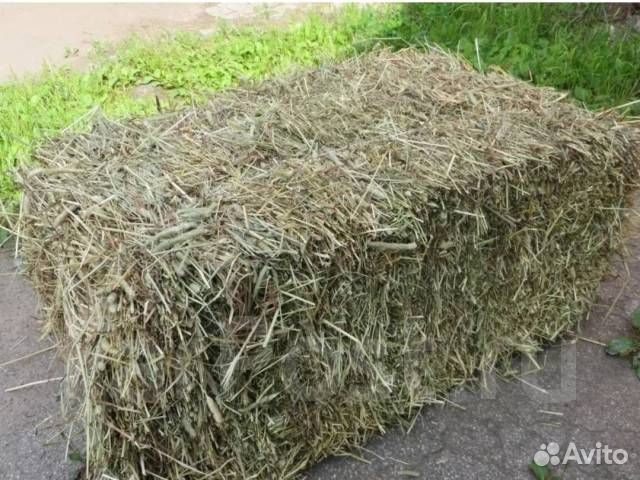 Продам Сено в тюках