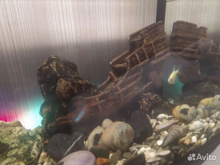 Аквариум комлект