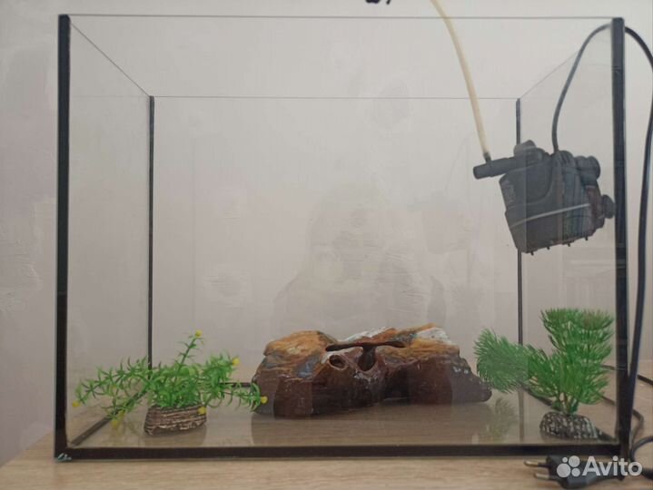 Аквариум