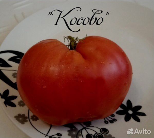 Семена томатов и перцев