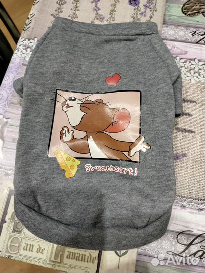 Одежда для маленькой собачки